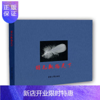 惠典正版羽毛飘扬天下威利·施密特·利布工业技术9787566917973 羽毛产业发展研究普通大众