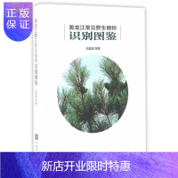 惠典正版黑龙江常见野生植物识别图鉴冯富娟科学与自然9787503888779 野生植物识别黑龙江省图谱