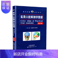 惠典正版 实用口腔解剖学图谱 第2版第二版 王美青 胡开进 主编 口腔科学 口腔医学类专业书籍 口腔书