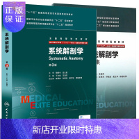 惠典正版正版 系统解剖学+ 系统解剖学习题集题 人卫八年制教材及配套习题集