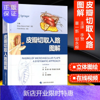 惠典正版正版 皮瓣切取入路图解 李赞 章一新等主译 2019年3月出版 临床实用皮瓣外科学穿支皮瓣手术