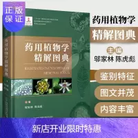 惠典正版1正版药用植物学精解图典邬家林陈虎彪主编福建科学技术出版社图文并茂植物的鉴别特征