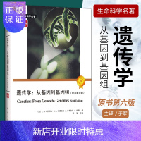 惠典正版遗传学-从基因到基因组 原书第六版 LH 哈特韦尔 等著 整合遗传学的概念 可视化遗传学 人类基因