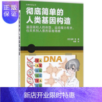 惠典正版彻底简单的人类基因构造 (日)生田哲 著；徐慧 译 医学生物学 生命科学/生物学