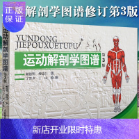 惠典正版运动解剖学图谱 修订第3版 人体解剖医学解刨书 体适能健身运动解刨学图谱运动训练学人体解剖彩色图谱肌