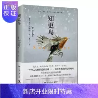 惠典正版知更鸟 正版 北欧悬疑小说天王尤.奈斯博 悬疑侦探推理小说 新华书店