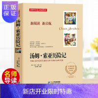 惠典正版汤姆索亚历险记 正版初中生青少年版课外书读物世界经典名著外国小说儿童文学书中小学生五六七年级无障碍课