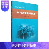 惠典正版井下瓦斯抽采实用技术 煤矿生产实用技术丛书之四 王茂林编 煤炭工业
