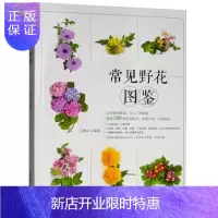 惠典正版正版常见野花图鉴 认识常见野花从入门到精通 常见野生花卉学名花期别名科属和分布范围形态特征生长习性百