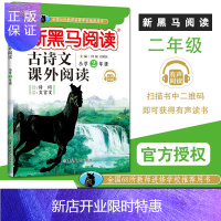 惠典正版新黑马阅读二年级古诗文课外阅读小学二年级语文上下册通用版阅读理解专项训练书诗词古诗文 二年级黑马阅读
