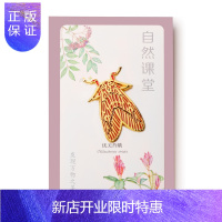 惠典正版广东文创 自然课堂系列 优美苔蛾胸针 文艺装饰品 旅游纪念