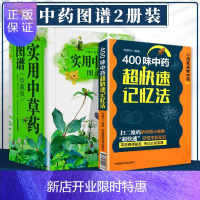 惠典正版正版400味中药中草药快速记忆法可搭配快快五字歌诀药学考试背书中药考试考点速记丛书常用中药功效科学