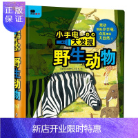 惠典正版小手电大发现-野生动物(邦臣小红花出品) [3-6岁]
