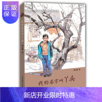 惠典正版正版 刘玉栋长篇少年成长小说 小荷工作坊原创儿童文学:我的名字叫丫头 刘玉栋 978753