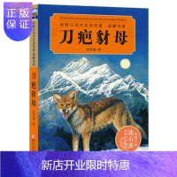 惠典正版正版 动物小说大王沈石溪 品藏书系:刀疤豺母 沈石溪 9787534280986 浙江少年