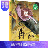 惠典正版正版 树上的夜莺 著者:〔美〕尼基洛夫廷者:孙榕潞 绘者: 9787549593071 广西师范大学