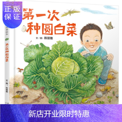 惠典正版正版 启发精选华语原创秀绘本次种圆白菜 陈丽雅 9787554547274 河北教育出版社