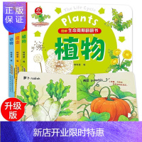 惠典正版图解生命周期翻翻书系列全3册生命教育立体翻翻书揭秘生命0-1-2-3-4-5周岁幼儿园宝宝儿童绘本书