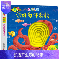惠典正版神奇洞洞书幼儿认知你好海洋动物
