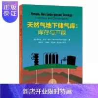 惠典正版天然气地下储气库 库存与产能 中国石化出版社