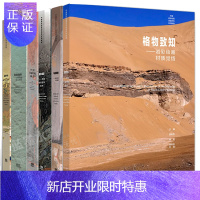 惠典正版全6本 胡明哲岩彩绘画系列格物致知色面造形似与不似中国岩彩绘画概论龟兹面壁迹象表意岩彩绘画创作案例