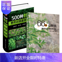 惠典正版66种山野菜栽培与食用药用大全+500种野菜野外识别速查图鉴书籍