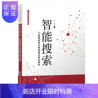 惠典正版正版 智能搜索：大数据搜索引擎原理及算法解析 沙芸 著