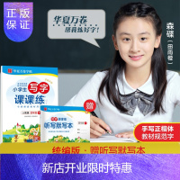 惠典正版2021新版 写字课课练四年级下册语文字帖部编RJ人教版小学生四年级下册教材同步练习钢笔铅笔硬笔练字