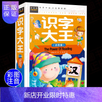 惠典正版[老师推荐]学前识字书 识字大王 儿童早教宝宝认字神器幼儿园教材幼儿看图启蒙3-4-6岁小孩小班 一