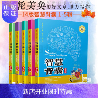 惠典正版正版 智慧阅读系列丛书 智慧背囊 1-5辑共5册5本 南方出版社 中学生阅读