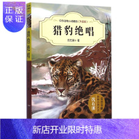 惠典正版中外动物小说精品（升级版）：猎豹绝唱