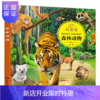 惠典正版童眼识天下科普馆 森林动物 儿童绘画启蒙教材 幼儿启蒙早教书籍 儿童阅读科普教材书 7-10岁读物