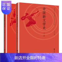 惠典正版 中国新文学史 上册+下册 全套2本 丁帆 新文学史上下册 中国文学史