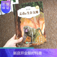 惠典正版灵动的生存大师 沈石溪动物小说大王精读系列