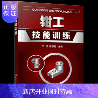 惠典正版钳工知识和技能学习材料书籍 钳工技能训练 包括划线錾削锯削锉削孔加工工艺制定尺寸链测量简单热处理钳工