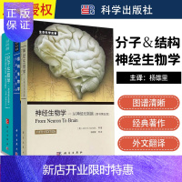 惠典正版生命科学**·结构生物学:从原子到生命+神经生物学:从神经元到脑+分子生物学