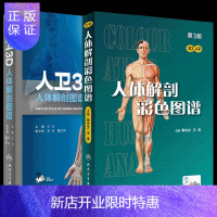 惠典正版!正版 人体解剖彩色图谱+人卫3D人体解剖图谱第二版升*版全彩人体解剖彩色学图谱实用解刨学医生