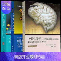 惠典正版生命科学·结构生物学:从原子到生命+神经生物学:从神经元到脑+分子生物学