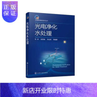 惠典正版Y太阳能利用前沿技术丛书 光电净化水处理 光电材料在水处理中应用 光电器件水处理新技术光电材料与环