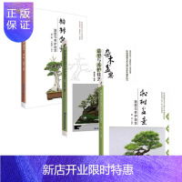 惠典正版正版 [组套3本]柏树盆景造型与养护技艺+松树盆景造型与养护技艺+杂木盆景造型与养护技艺 养殖类