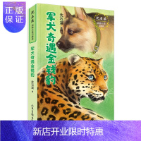 惠典正版正版 军犬奇遇金钱豹 沈石溪 童书 儿童读物 儿童文学 山东画报出版社