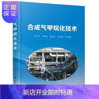 惠典正版正版 合成气甲烷化技术 甲烷化反应热力学和动力学合成气甲烷化催化剂关键技术应用书