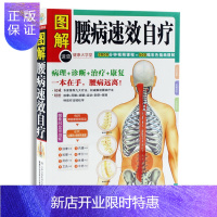 惠典正版图解 腰病速效自疗(健康大学堂) 彩色插图精解 病理诊断治疗康复 一本在手腰病远离 疗法轻松学 腰椎