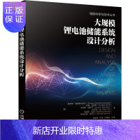 惠典正版正版 大规模锂电池储能系统设计分析 施莱姆桑塔那戈帕兰 能源与动力工程 新能源技术 锂离