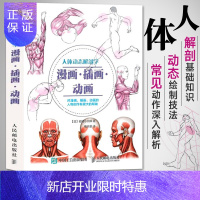 惠典正版人体动态解剖学 漫画 插画 动画 人体结构速写书绘制技法大全动漫造型艺用人体解剖教程绘画书籍手绘画册