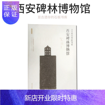 惠典正版西安出版社直销 亘古遗存的石板书库西安碑林博物馆 西安出版社丝路物语书系列