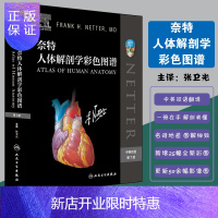 惠典正版 奈特人体解剖学彩色图谱第7版七张卫光解刨彩色解剖解刨学中英双语人民卫生出版社