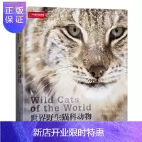 惠典正版世界野生猫科动物
