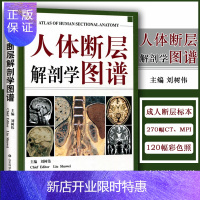 惠典正版正版 人体断层解剖学图谱(精) CT人体断层局部解剖影像学 人体解剖学断面解剖学图谱 刘树伟主编 山