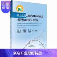 惠典正版自然工质二氧化碳制冷与热泵循环原理的研究与进展
